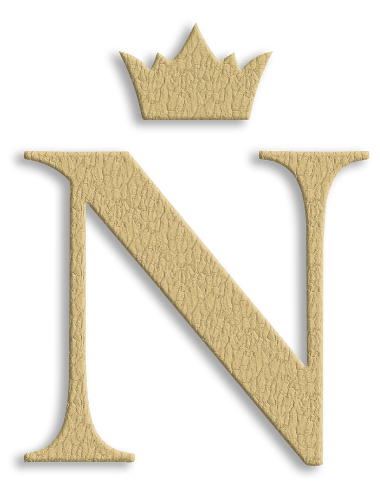 Nuvisy — Strategic Consultancy